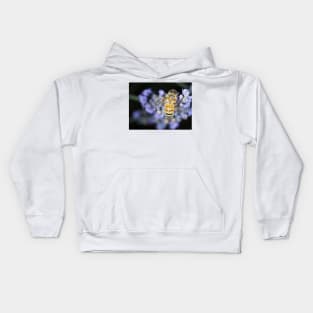 Honey bee (Apis mellifera) gathering nectar on lavender flowers Kids Hoodie